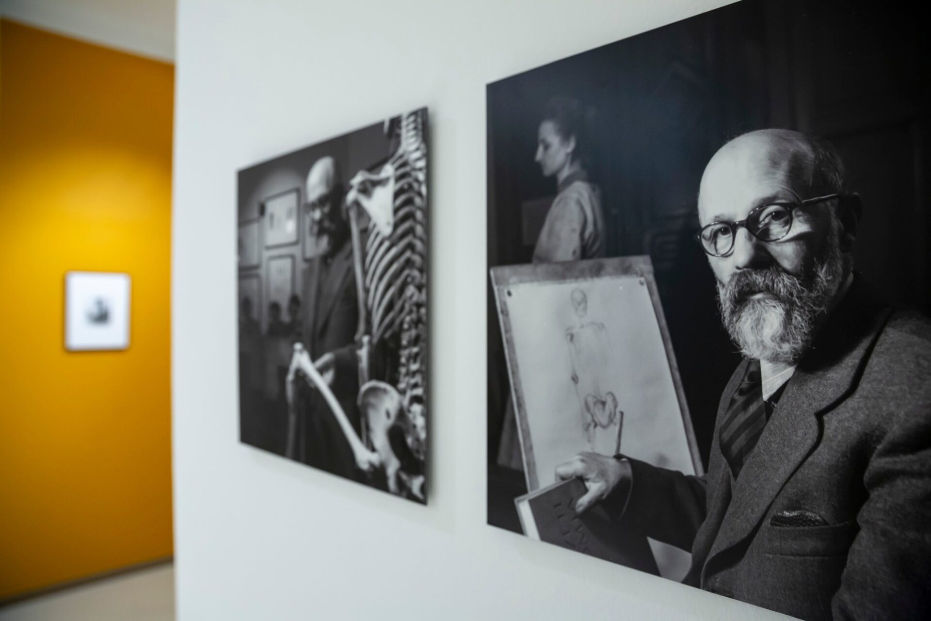 Múzeumi Mesék | Közelképek 2. - Szembefordulás