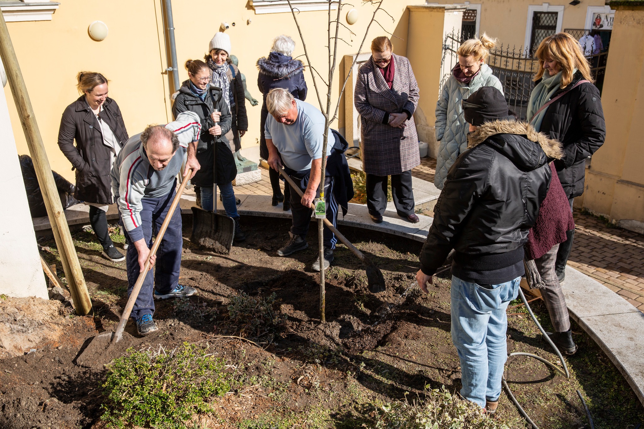 Kiemelt kép a Egy fa helyébe három került! című publikációhoz