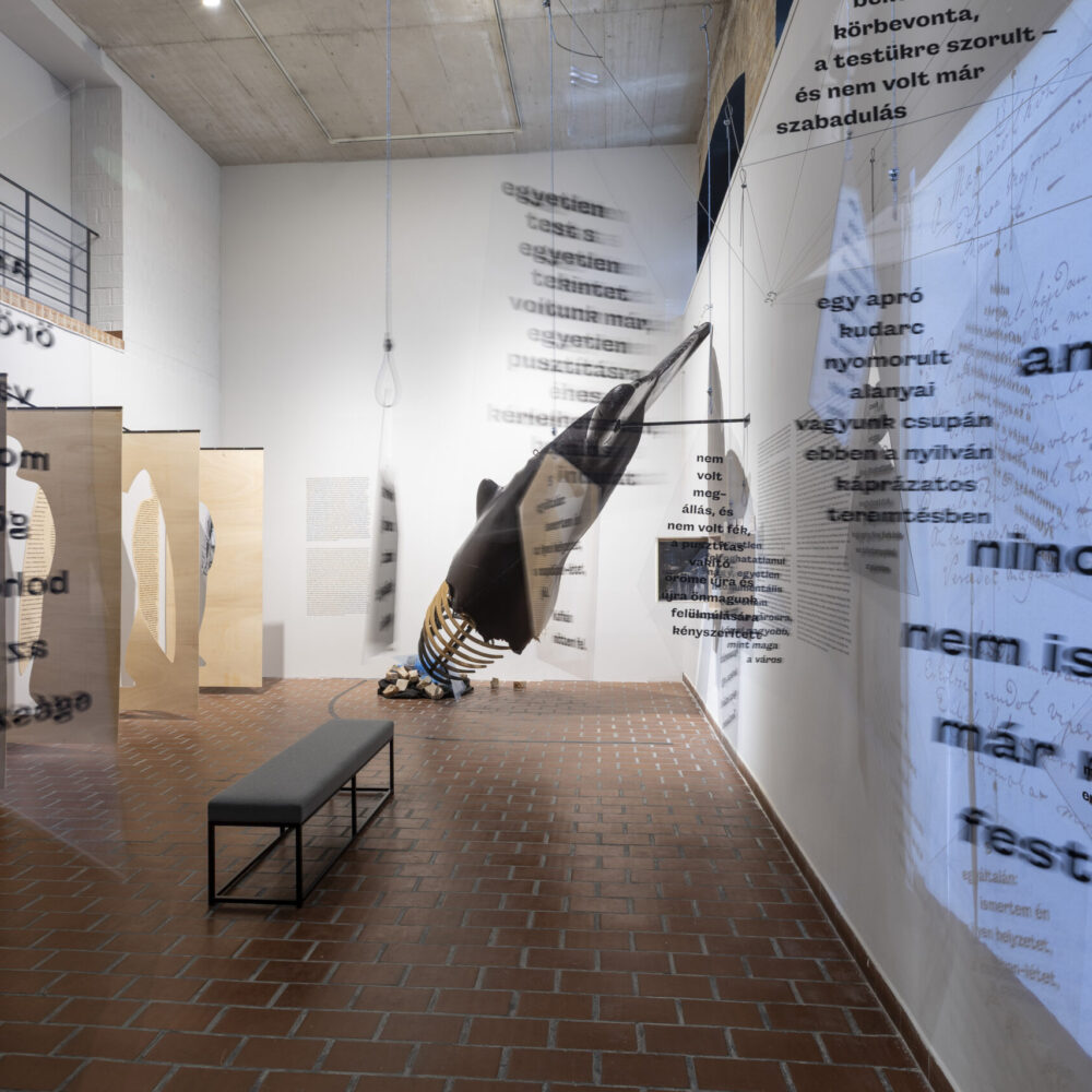 Kiemelt kép a Meghosszabbítva: Minduntalan című kiállításhoz